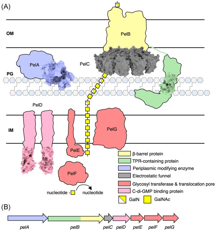 Figure 5.