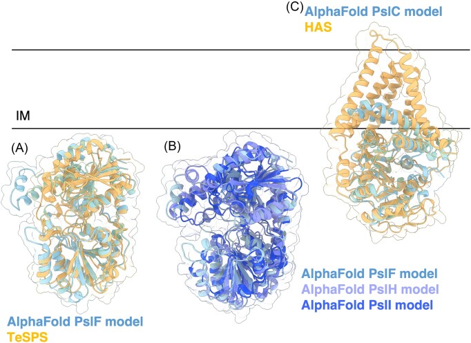 Figure 10.