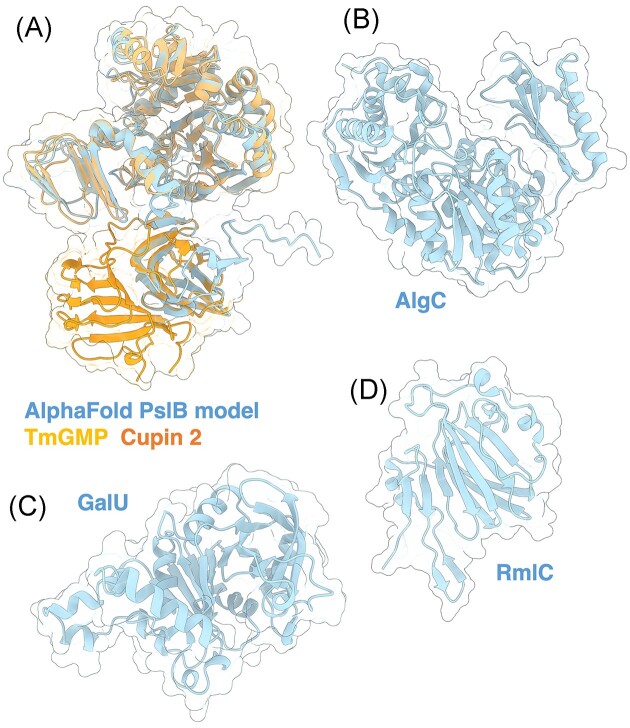 Figure 9.