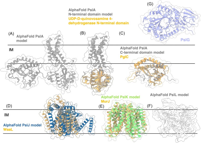 Figure 11.