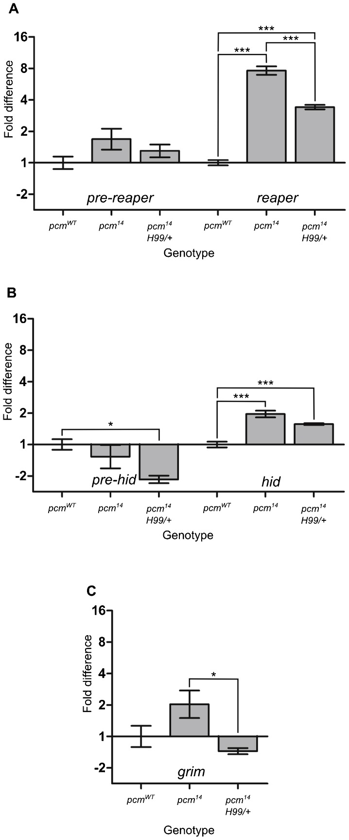 Fig. 8.