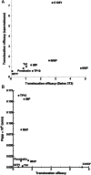 Figure 6
