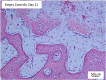 Fig. 9