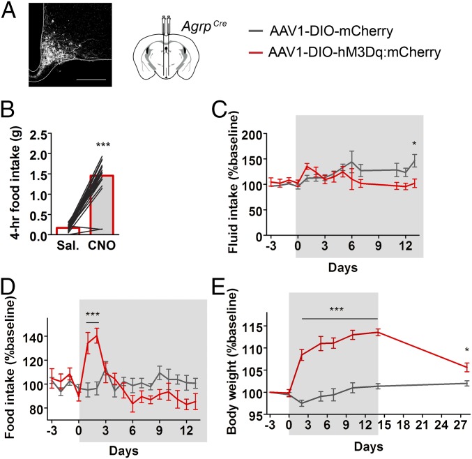 Fig. 4.