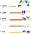 Fig. 2