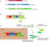 Fig. 3