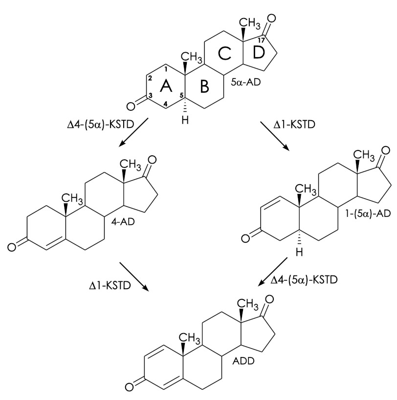 FIGURE 1.