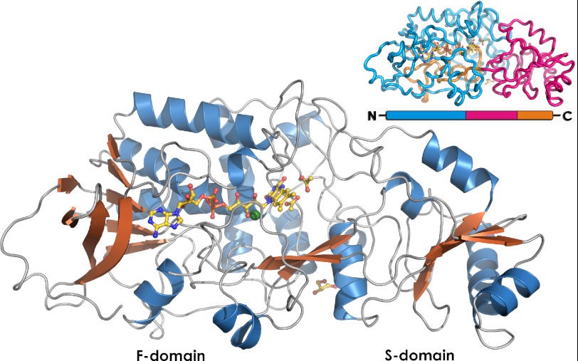 FIGURE 4.