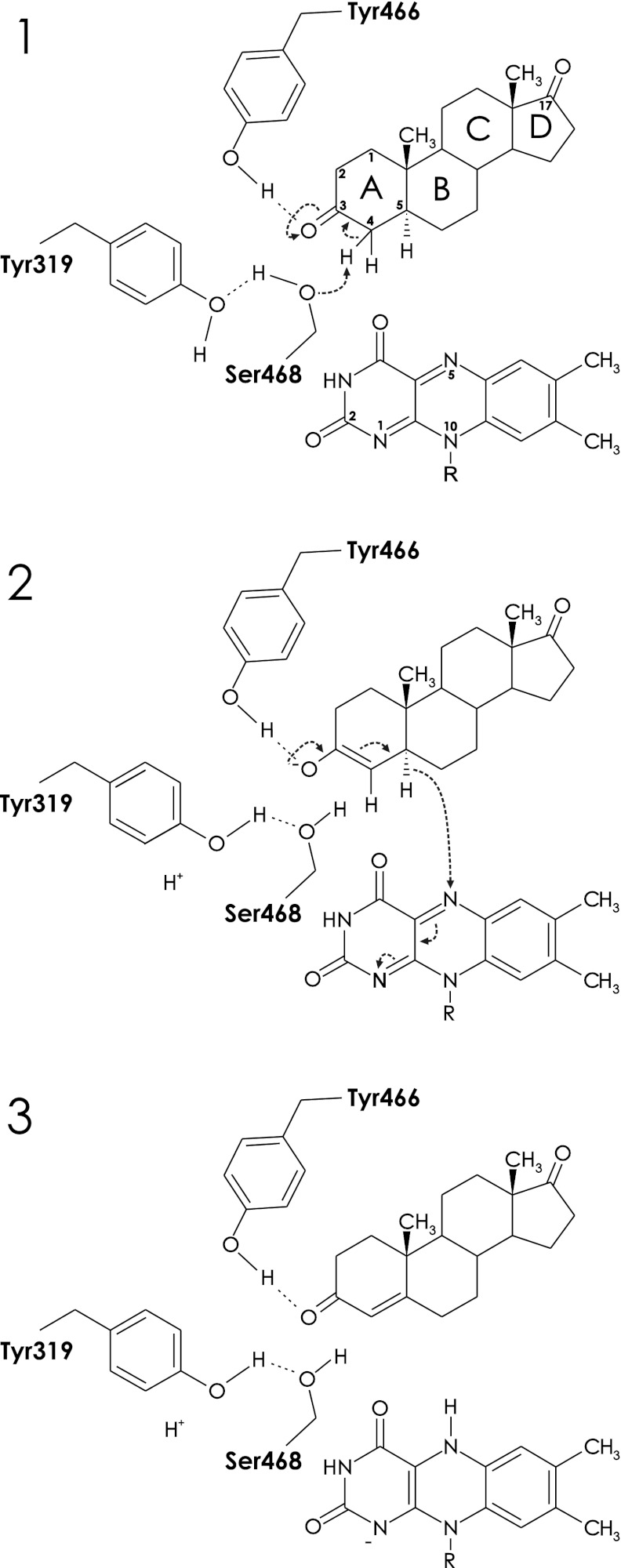 FIGURE 7.