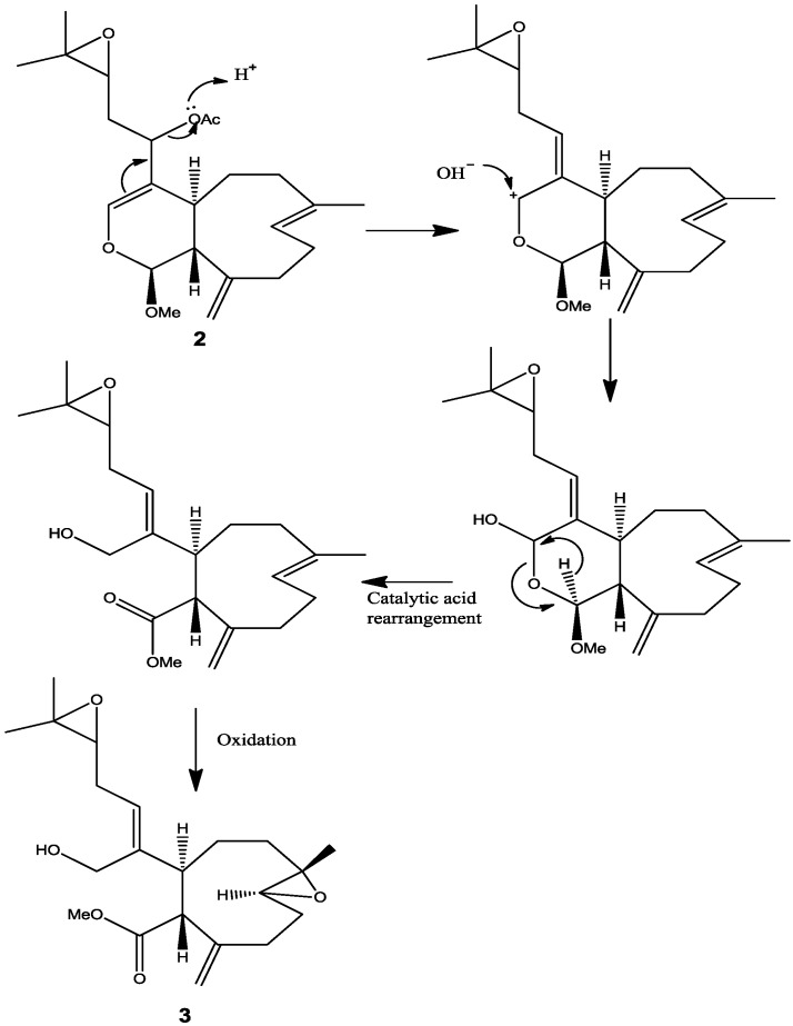 Scheme 1