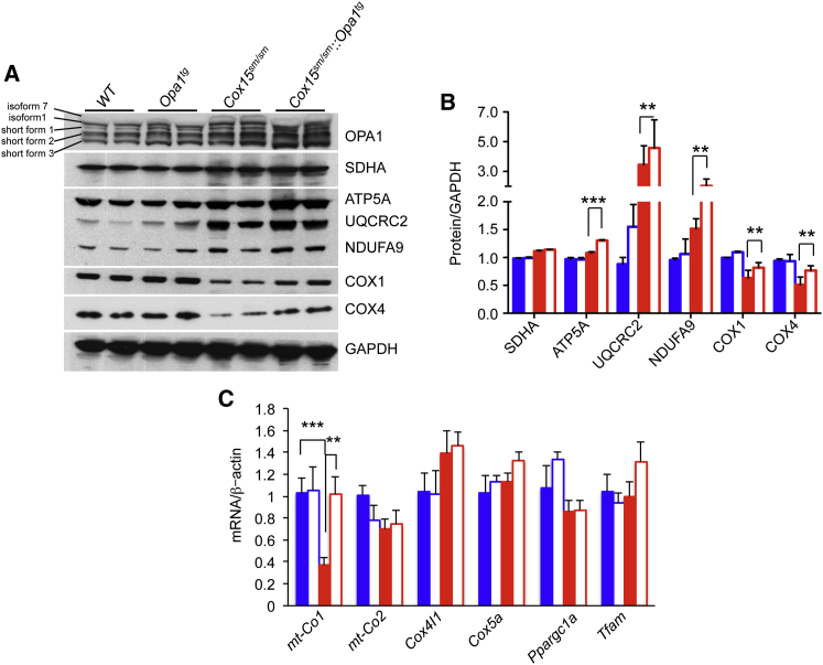 Figure 6