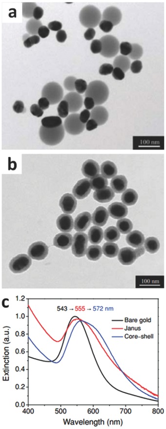 Figure 10