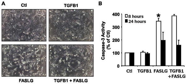 FIG. 9