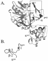 FIG. 6.