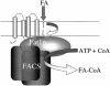 FIG. 11.