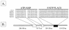 FIG. 2.