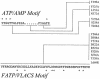 FIG. 8.
