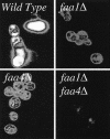 FIG. 9.