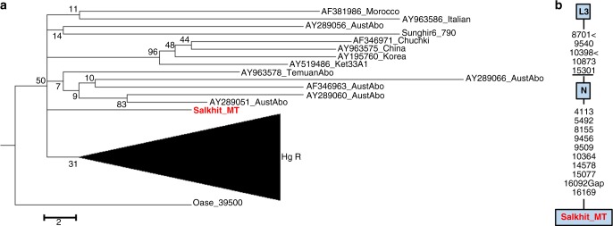 Fig. 5