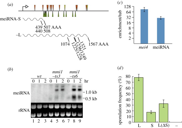 Figure 2.