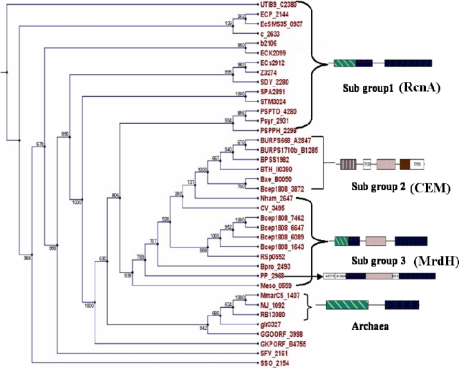 FIG. 7.