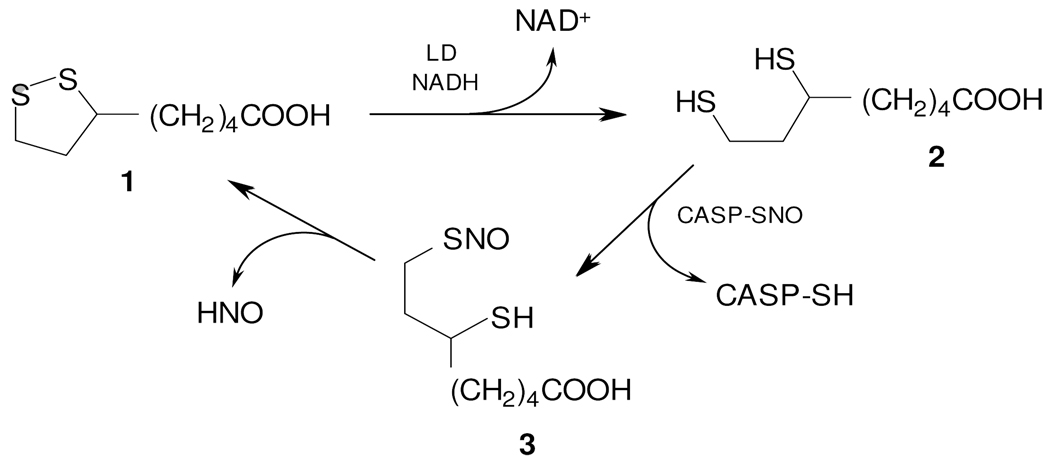 Scheme 2