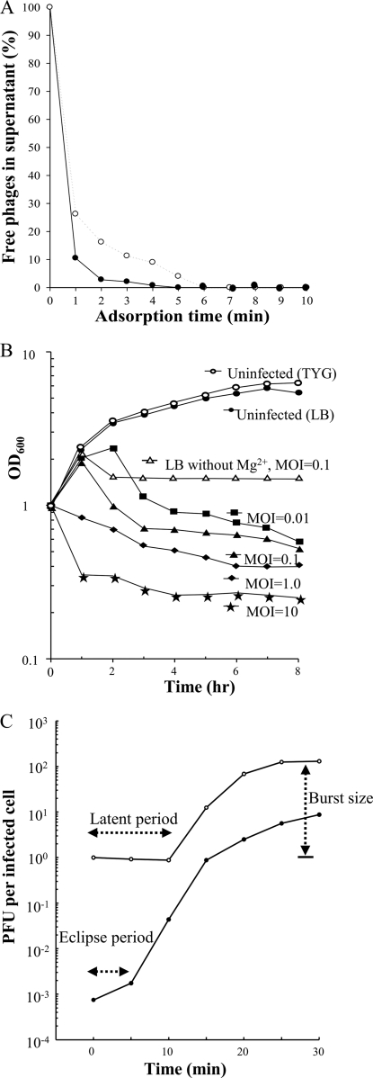 Fig. 3.