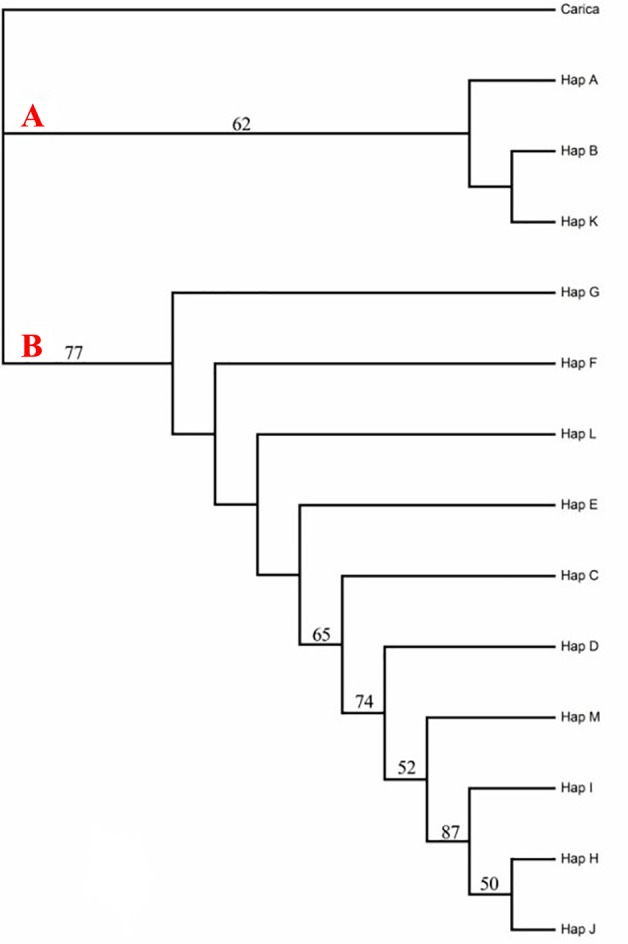 Fig 2