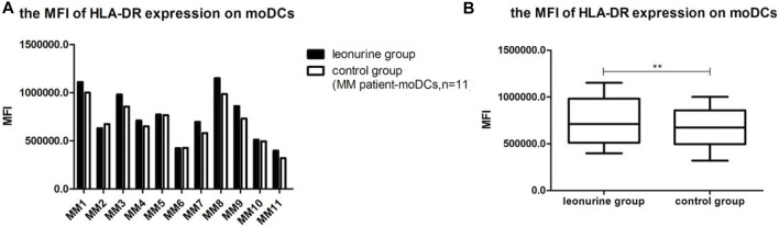 FIGURE 11