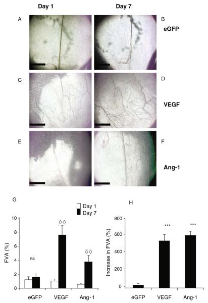 Fig. 15.3