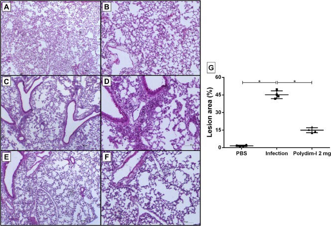 Fig 8