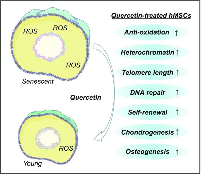 Figure 11