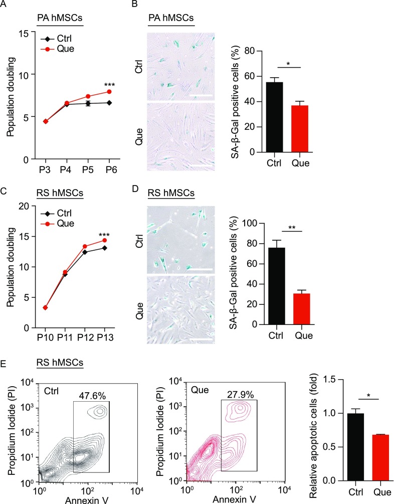 Figure 10