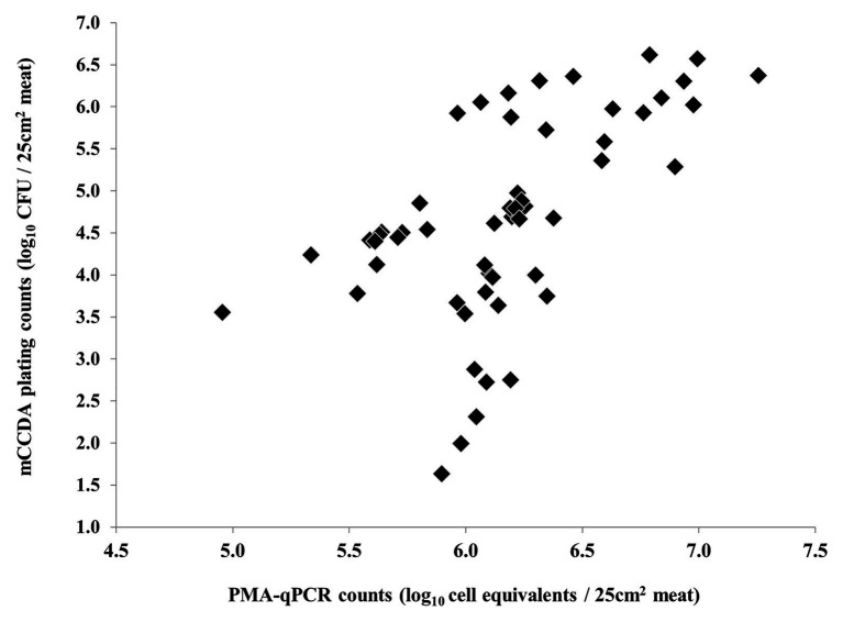 Figure 6