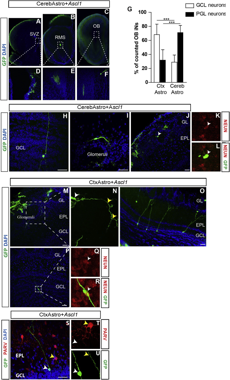 Figure 6