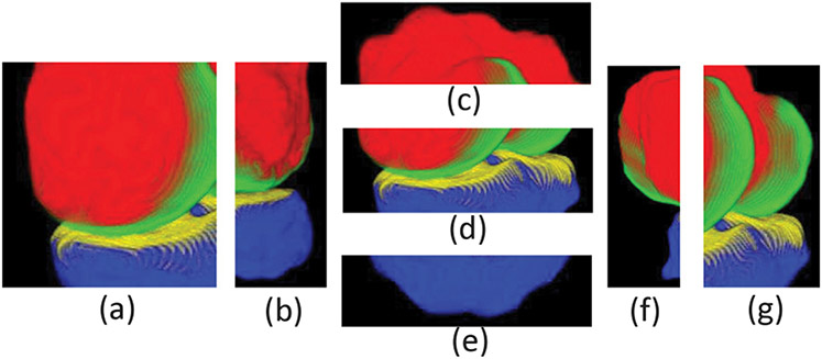 Fig. 6.