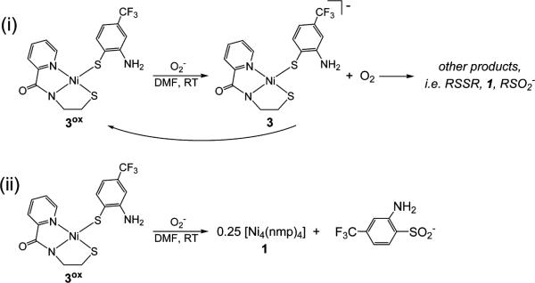 Scheme 3