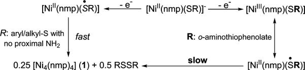 Scheme 2