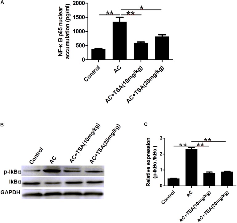 FIGURE 6