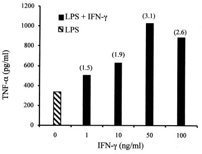 FIG. 1