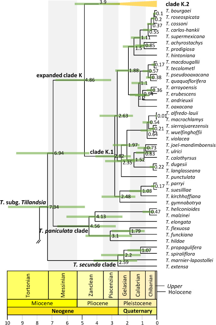 Figure 4