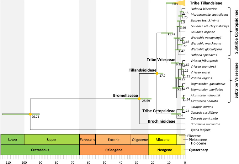 Figure 2