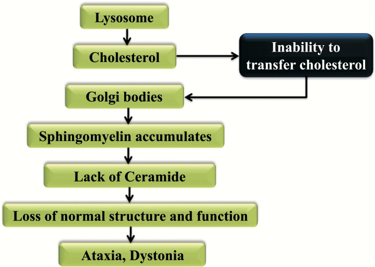 Fig. (2)