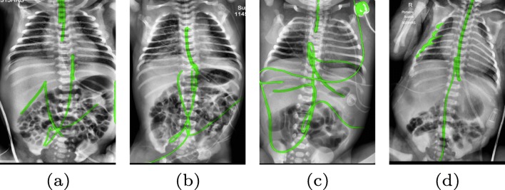 Fig. 8