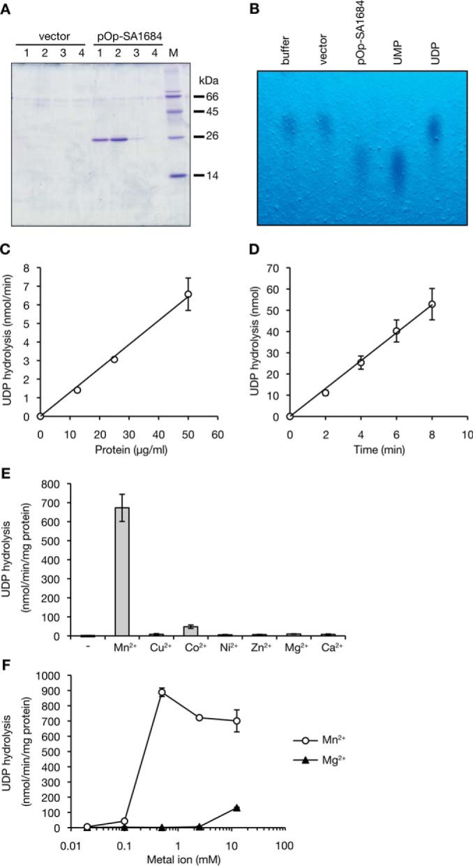 FIGURE 4.