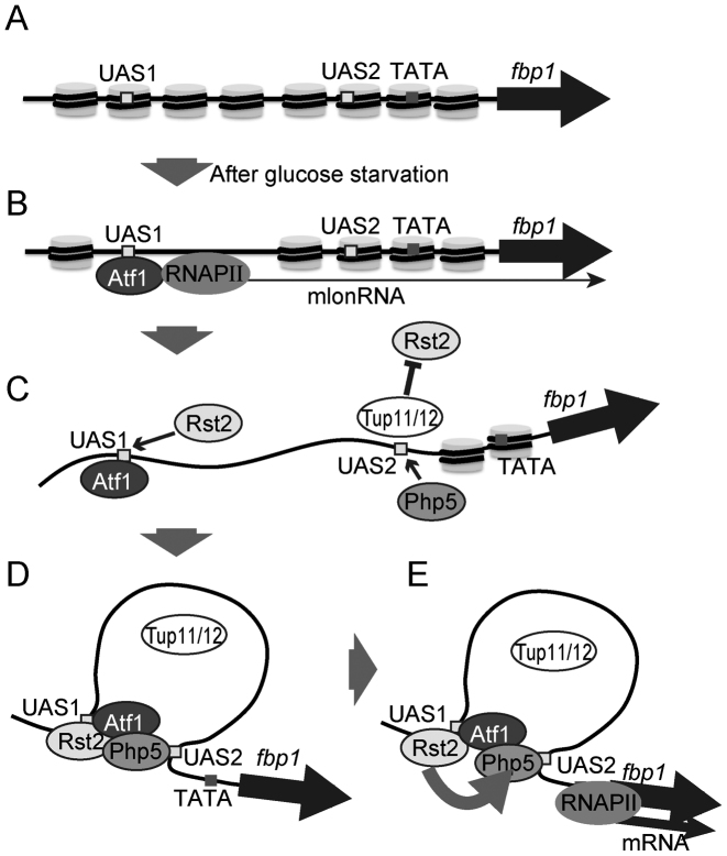 Figure 7.