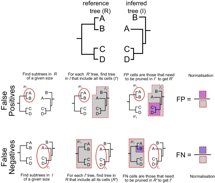 Figure 9—figure supplement 1.