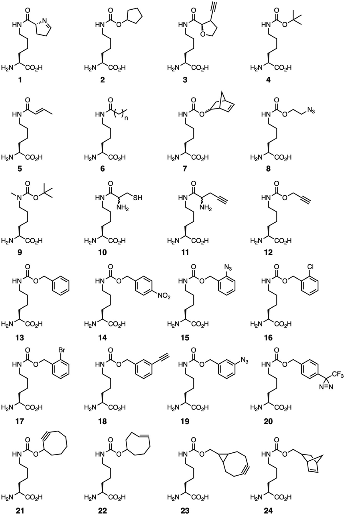 Fig. 6