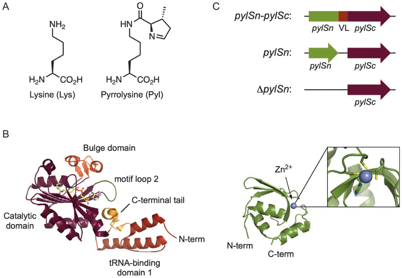 Fig. 3