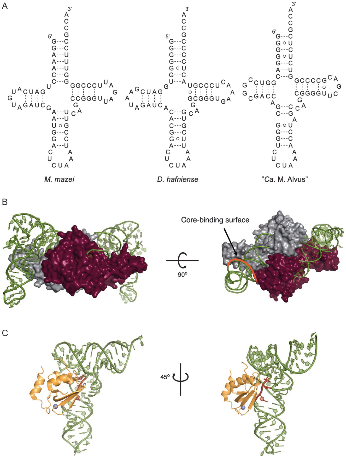 Fig. 4